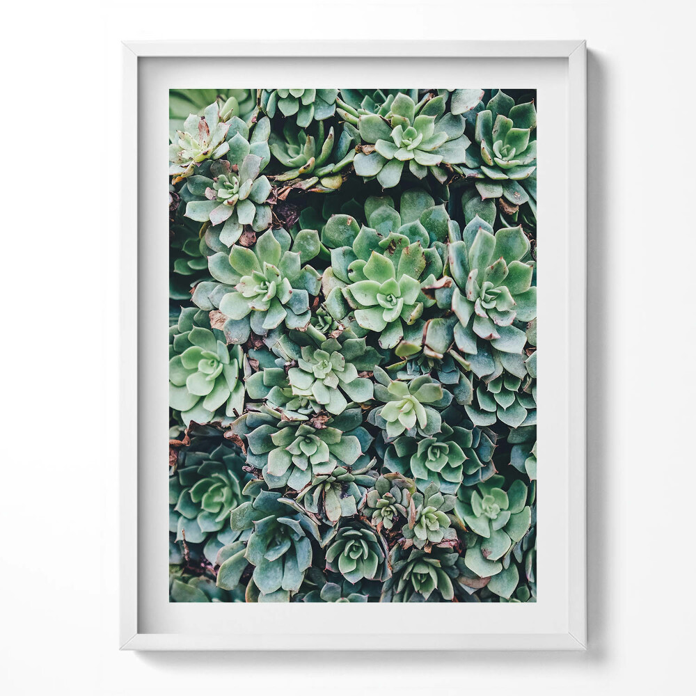 Kép keretben Csillagos kozmosz