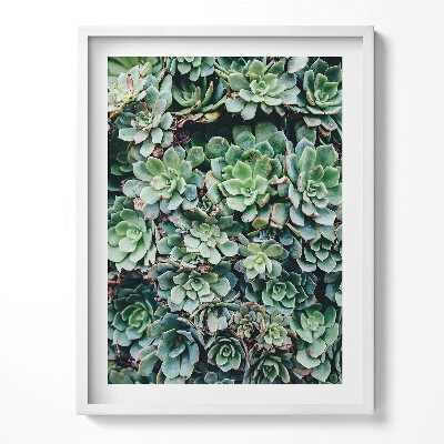 Kép keretben Csillagos kozmosz