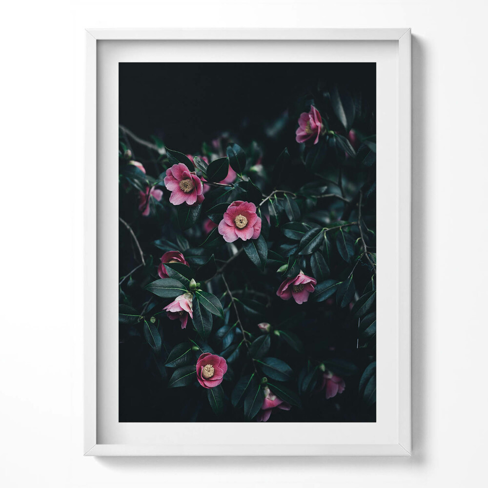 Kép keretben Piros rózsa virág