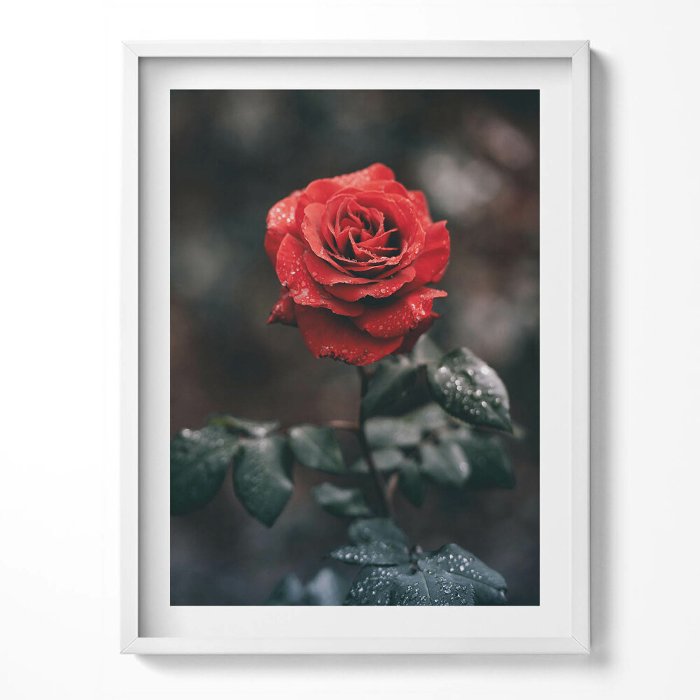 Keretezett kép Városi építészet híd