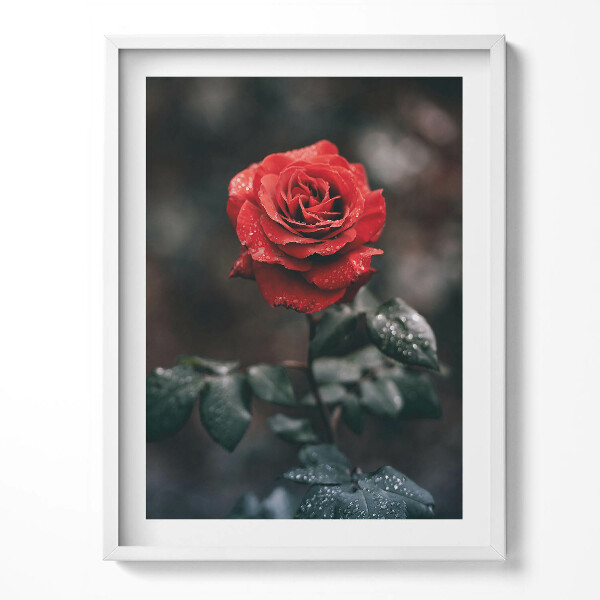 Keretezett kép Városi építészet híd