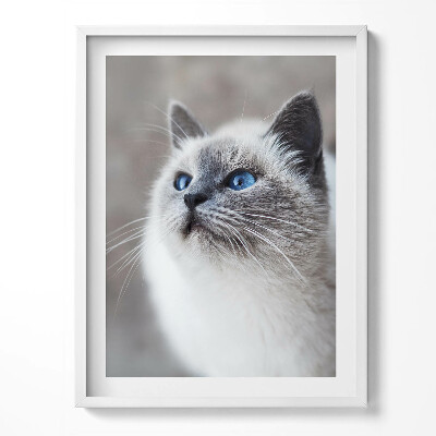 Kép keretben Starry sky