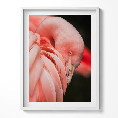 Keretezett kép Nagy zöld levelek