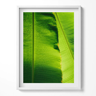 Kép keretben Leves egy kanálban arany háttéren