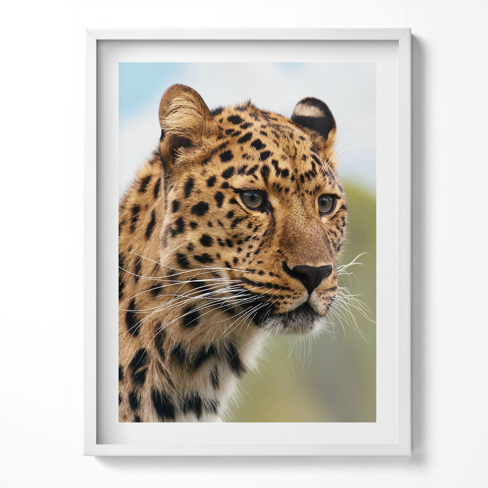 Kép keretben Egyiptomi piramisok a sivatagban