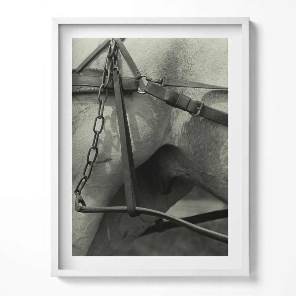 Keretezett kép Rajz egy csontvázról