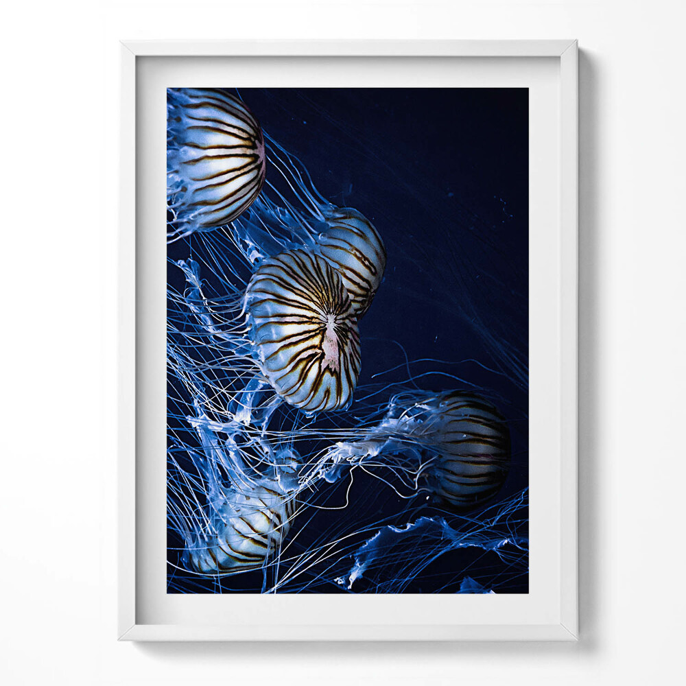 Kép keretben Éjszakai csillagok az égen a hegyekben