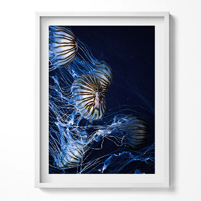 Kép keretben Éjszakai csillagok az égen a hegyekben