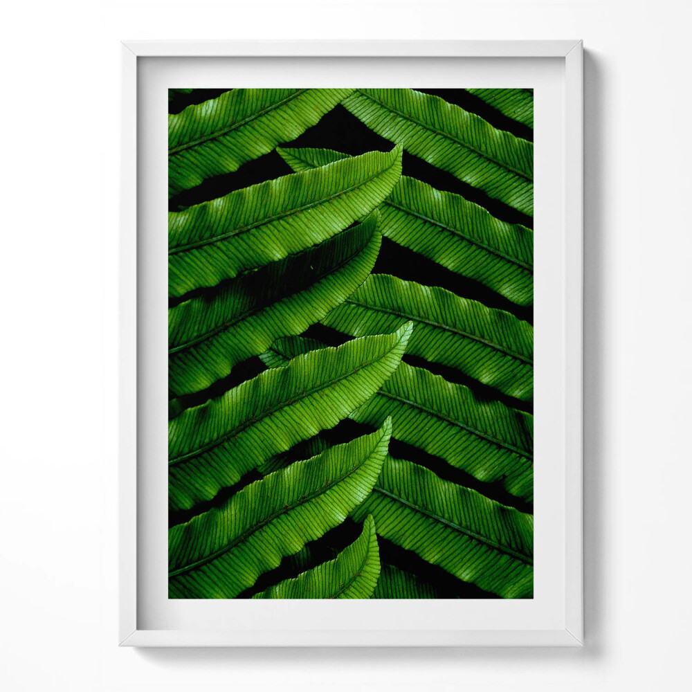 Keretezett kép Legyes naplementében