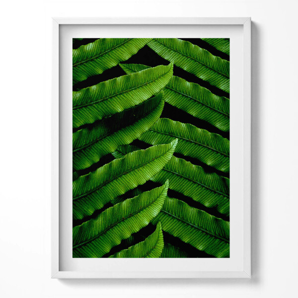 Keretezett kép Legyes naplementében