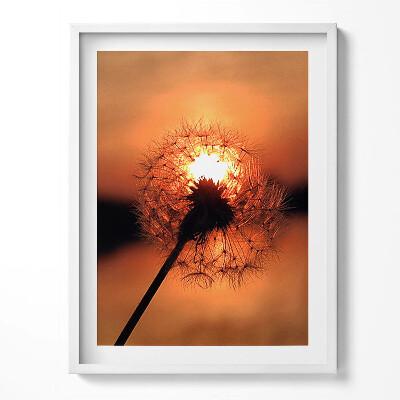 Kép keretben Zöld táj egy erdei patak