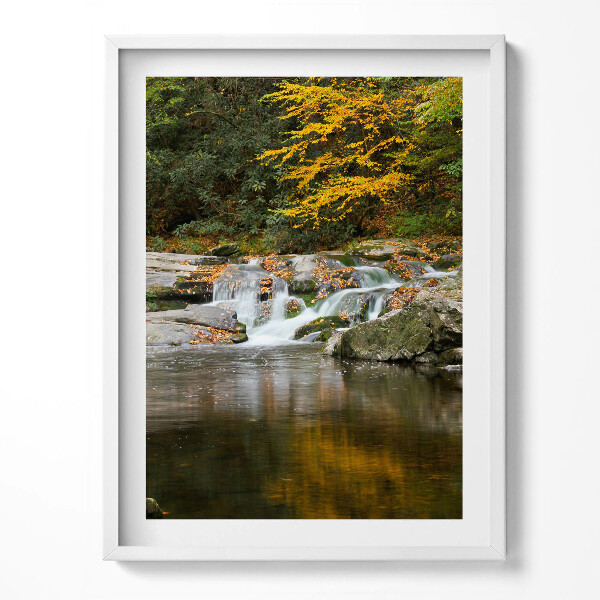 Keretezett kép Ködös erdei táj