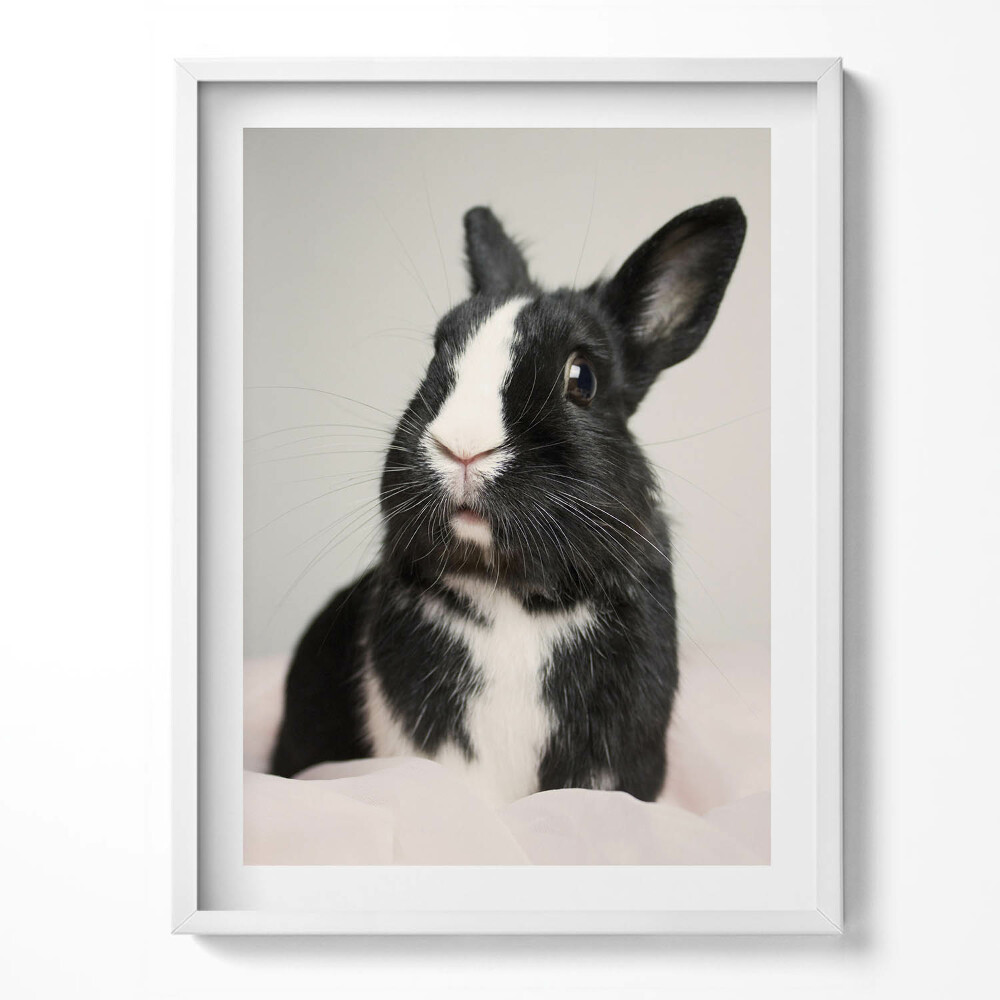 Kép keretben Színes füst absztrakt