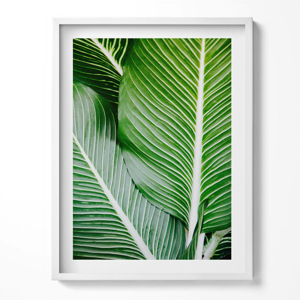 Kép keretben Ölelkező zebrák