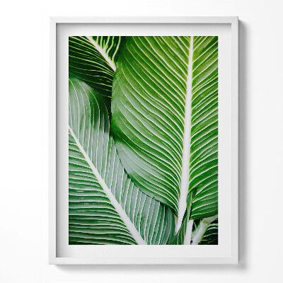 Kép keretben Ölelkező zebrák