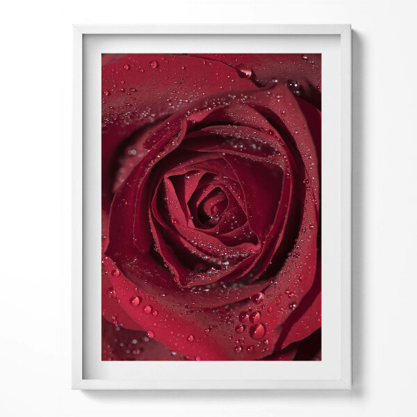 Keretezett kép Mező doga a hegyekben