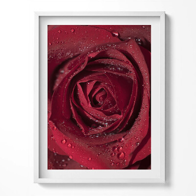 Keretezett kép Mező doga a hegyekben