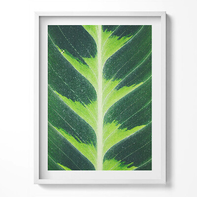 Keretezett kép Görögország építészete Santorini