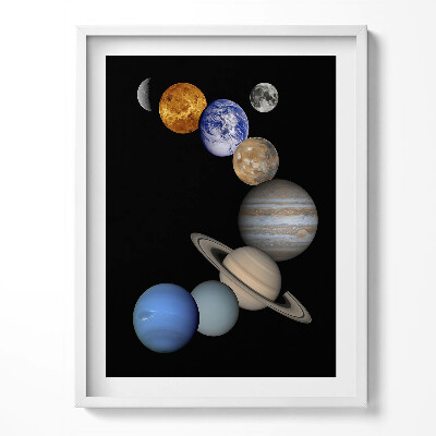 Keretezett kép Szürke macska macskaszemek