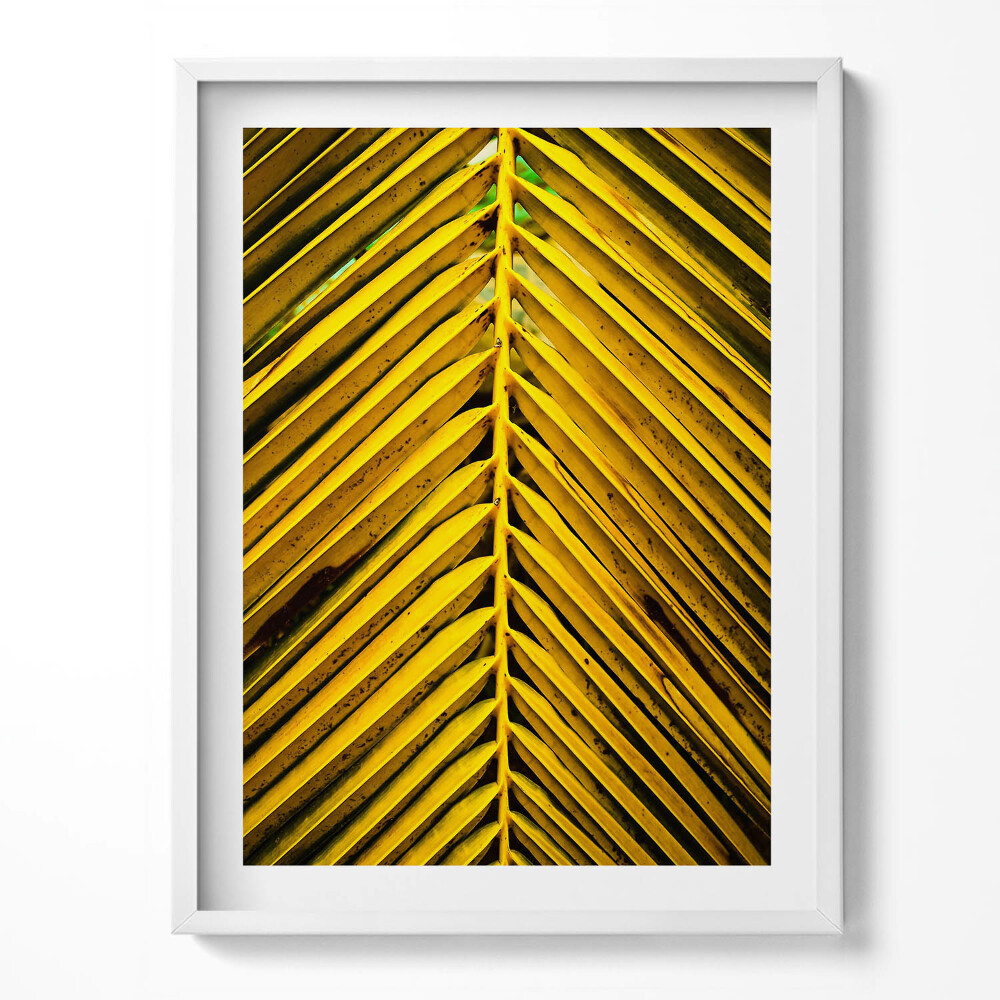 Kép keretben Kaktusz az ég ellen