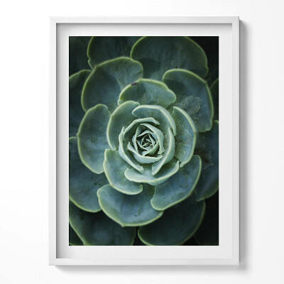 Kép keretben Zöld zamatos növény