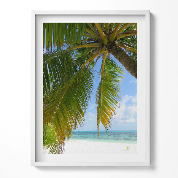 Kép keretben Tengerparti pálmafa óceán nyaralás