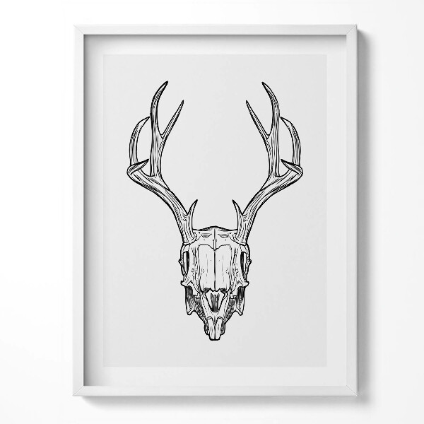 Kép keretben Deer skull with horns sketch
