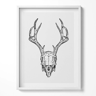 Kép keretben Deer skull with horns sketch