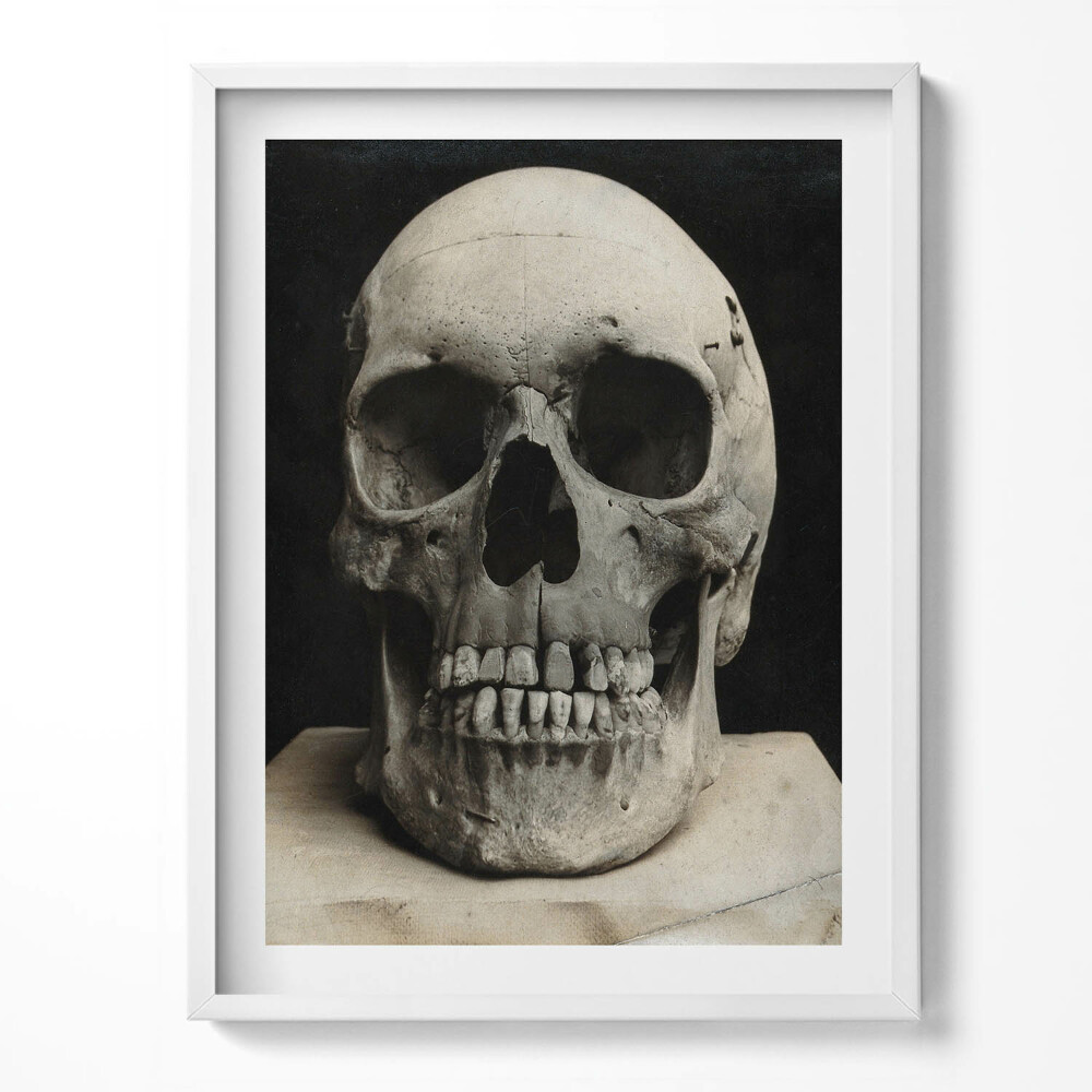 Keretezett kép Emberi koponya csontváz