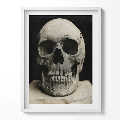 Keretezett kép Emberi koponya csontváz