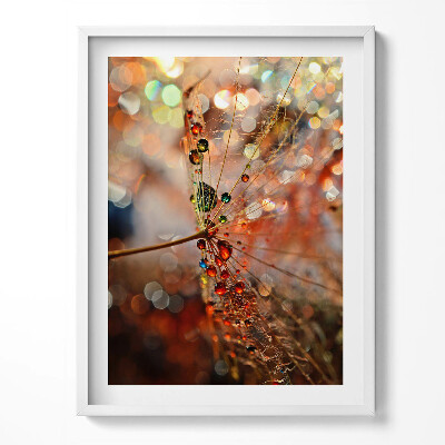 Keretezett kép Fújó és harmat