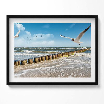 Kép keretben Tengerparti táj madarak hullámok