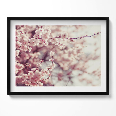 Kép keretben Virágzó cseresznyeágak