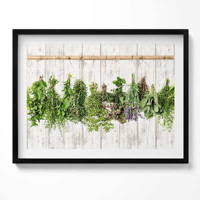 Kép keretben Friss fűszernövények lógatva