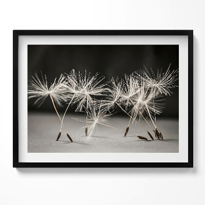 Kép keretben Pillecukor virágok közelről