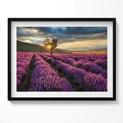 Kép keretben Levendulamező naplementében