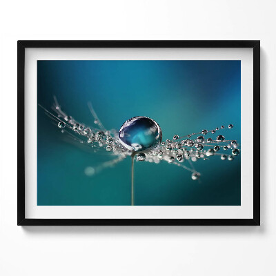 Kép keretben Vízcsepp és háló
