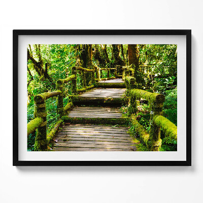 Kép keretben Zöld erdei ösvény