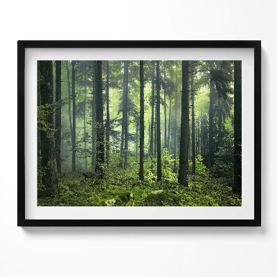 Kép keretben Zöld erdő ködben