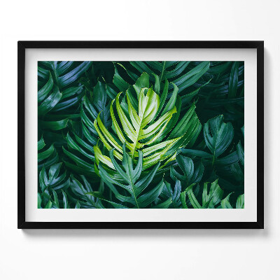 Kép keretben Zöld levelek természetes motívum