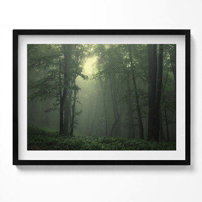 Kép keretben Zöld erdő ködben