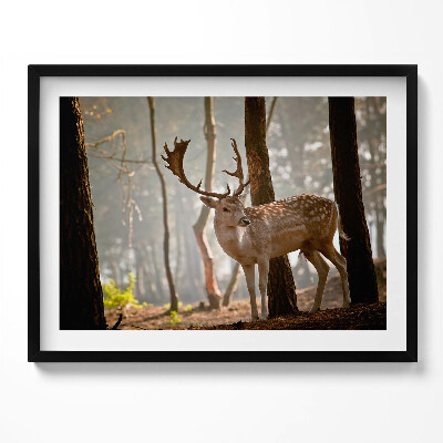 Kép keretben Szarvas az erdőben