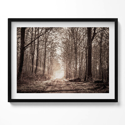 Kép keretben Fás út napfényes táj