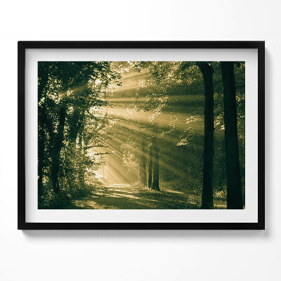 Kép keretben Fényárban úszó erdei ösvény