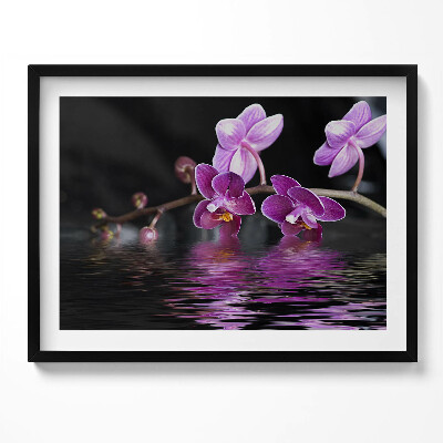 Kép keretben Lila orchidea víz tükröződésével