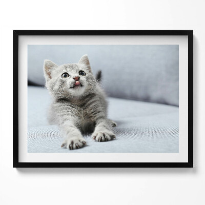 Kép keretben Cuki nyújtózó macska