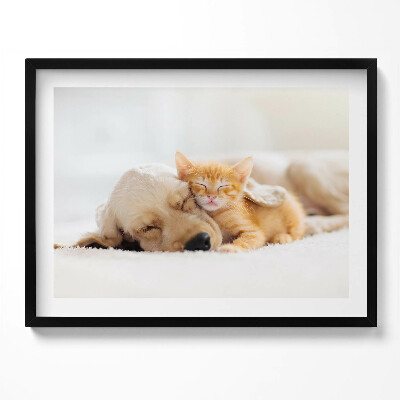 Kép keretben Kutyus és cica együtt alszanak