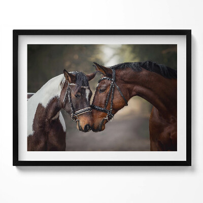 Kép keretben Két ló összeborulása