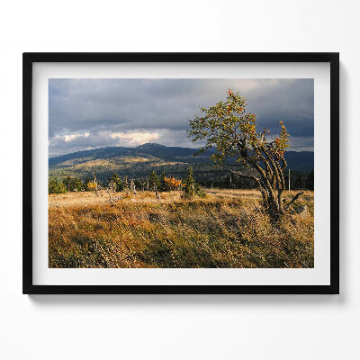 Kép keretben Hegyek és fák tája