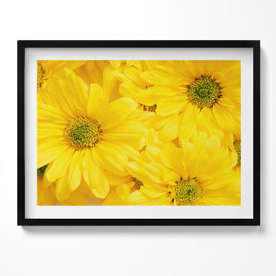 Kép keretben Sárga virágok közelről